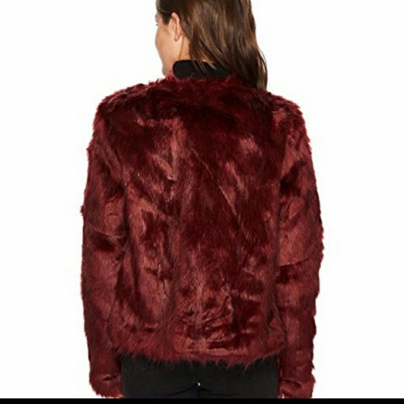 Romeo & Juliet - Picture 4 of 8